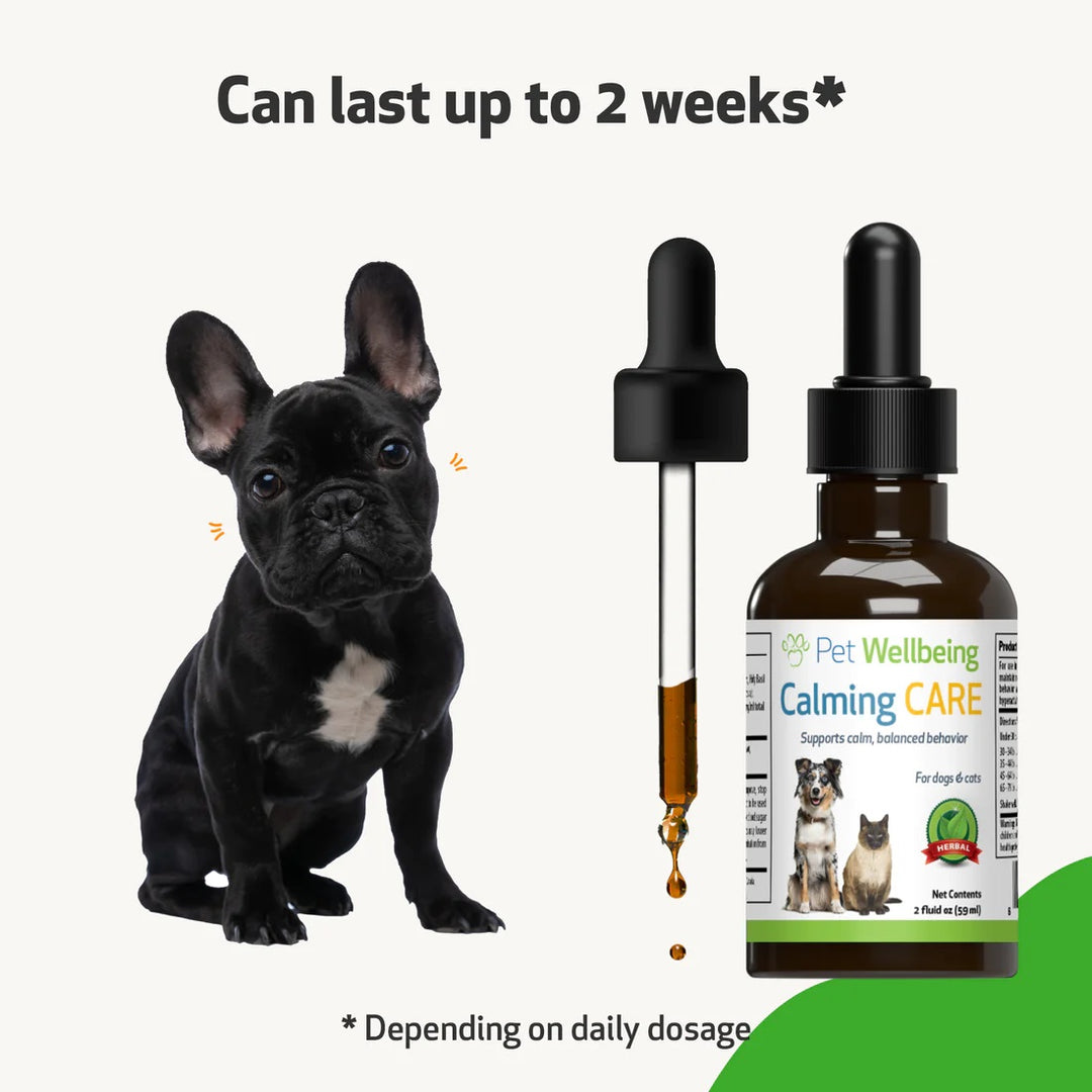 Pet Wellbeing - Calming Care - for Cat & Dog Anxious Behavior (2fl oz / 59ml)
