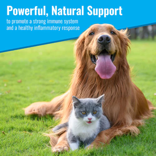 Mushroom Matrix Canine MRM Maximum Recovery Matrix - For Seniors & Pets in Need