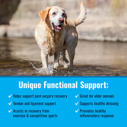 Mushroom Matrix Canine MRM Maximum Recovery Matrix - For Seniors & Pets in Need