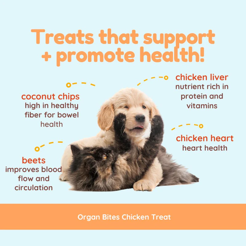 CocoTherapy® Organ Bites! Chicken Organs + Beets + Coconut (85g) - Raw Organ Meat Treat for dogs and cats