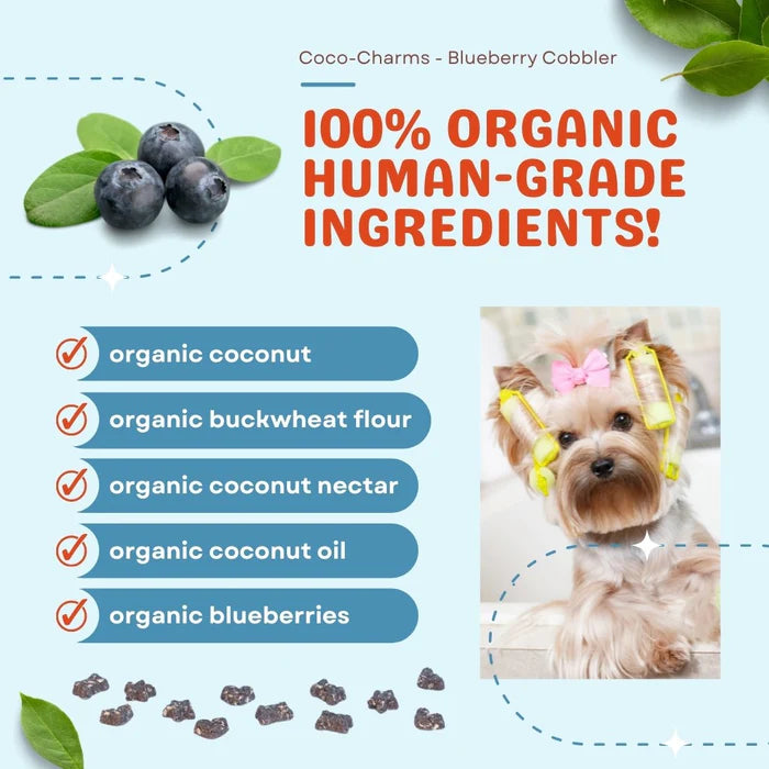 CocoTherapy® Coco-Charms Training Treats Blueberry Cobbler (141g) - Organic Training Treat for dogs