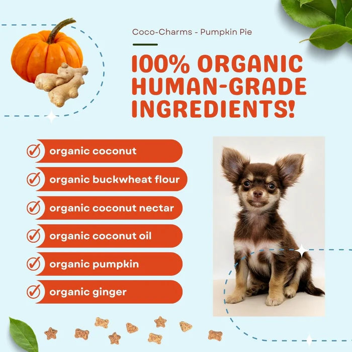 CocoTherapy® Coco-Charms Training Treats Pumpkin Pie (141g)- Organic Training Treat for dogs