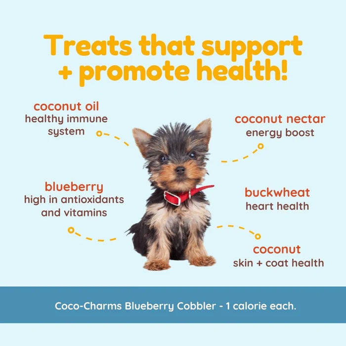 CocoTherapy® Coco-Charms Training Treats Blueberry Cobbler (141g) - Organic Training Treat for dogs