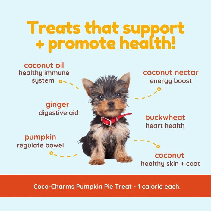 CocoTherapy® Coco-Charms Training Treats Pumpkin Pie (141g)- Organic Training Treat for dogs