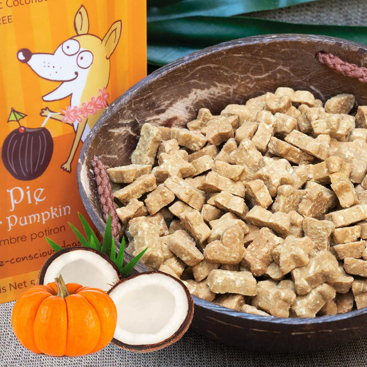 CocoTherapy® Coco-Charms Training Treats Pumpkin Pie (141g)- Organic Training Treat for dogs