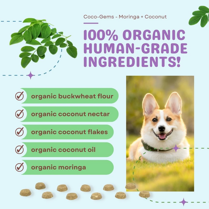 CocoTherapy® Coco-Gems Training Treats Moringa + Coconut (141g)- Organic Training Treat for dogs