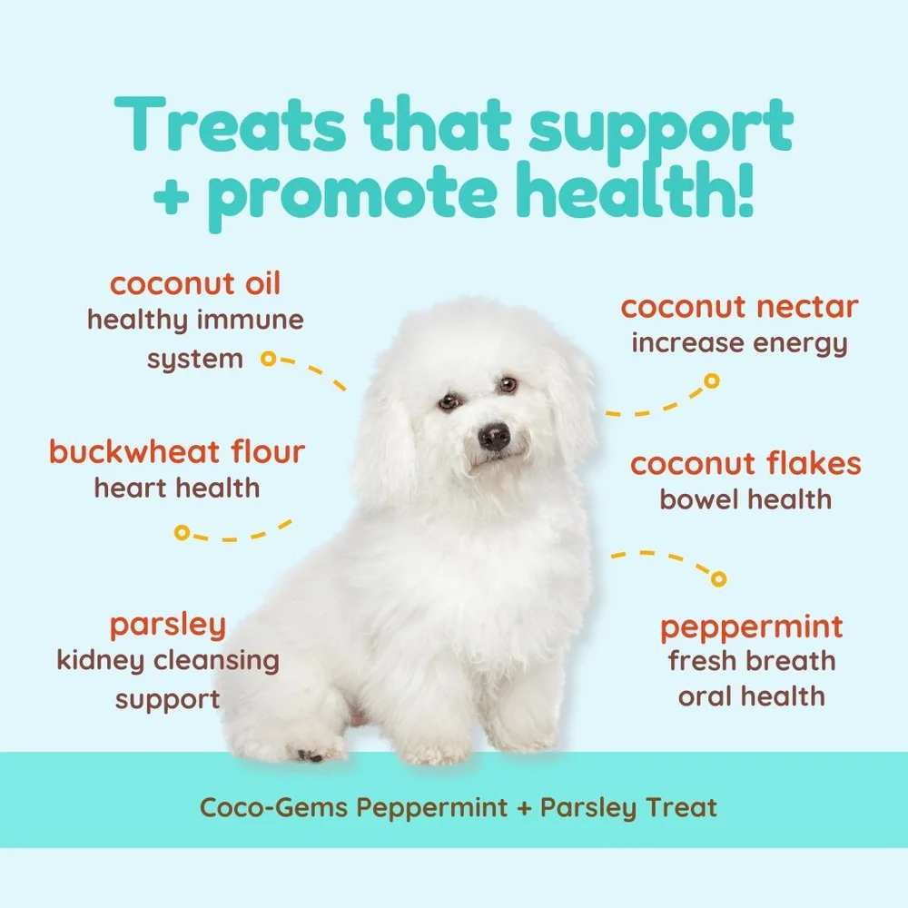 CocoTherapy® Coco-Gems Training Treats Peppermint + Parsley (141g) - Organic Training Treat for dogs