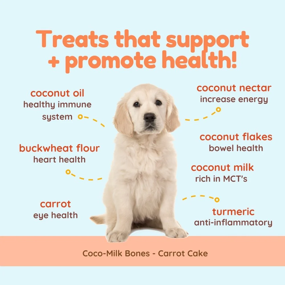 CocoTherapy® Coco-Milk Bones Carrot Cake Biscuit (170g) - Organic Coconut Treat for dogs