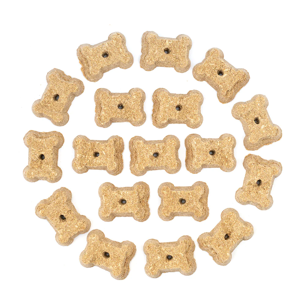 CocoTherapy® Coco-Milk Bones Ginger Snaps Biscuit (170g) - Organic Coconut Treat for dogs