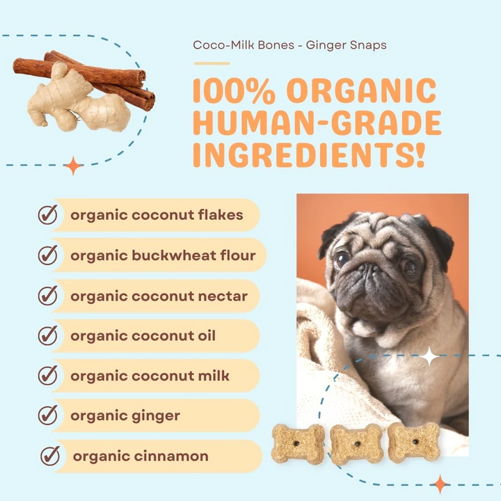 CocoTherapy® Coco-Milk Bones Ginger Snaps Biscuit (170g) - Organic Coconut Treat for dogs