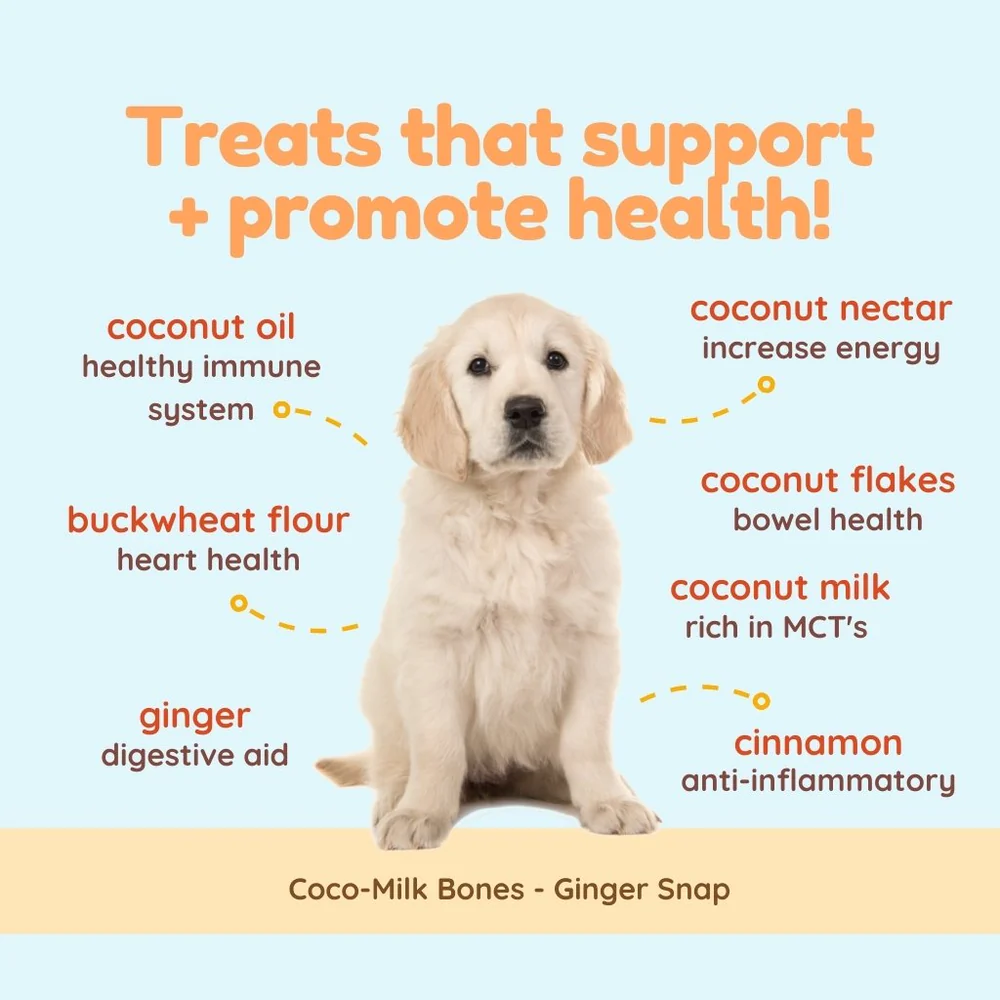 CocoTherapy® Coco-Milk Bones Ginger Snaps Biscuit (170g) - Organic Coconut Treat for dogs