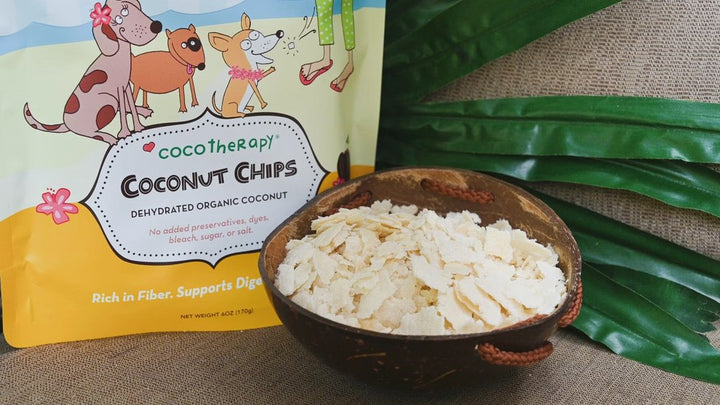 CocoTherapy® Organic Coconut Chips (170g) - Raw Coconut for dogs, cats, birds