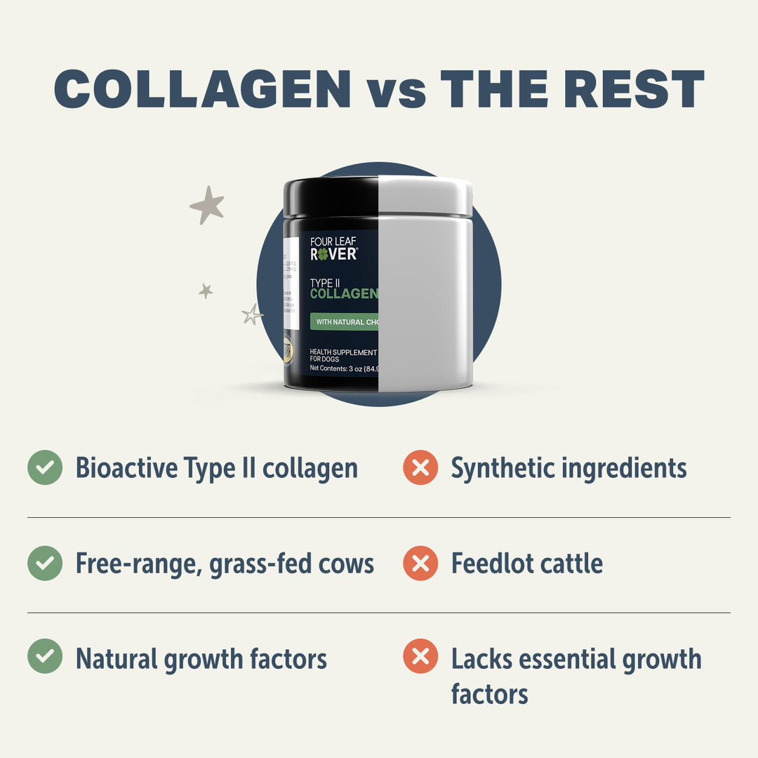 Four Leaf Rover - Collagen (90g)