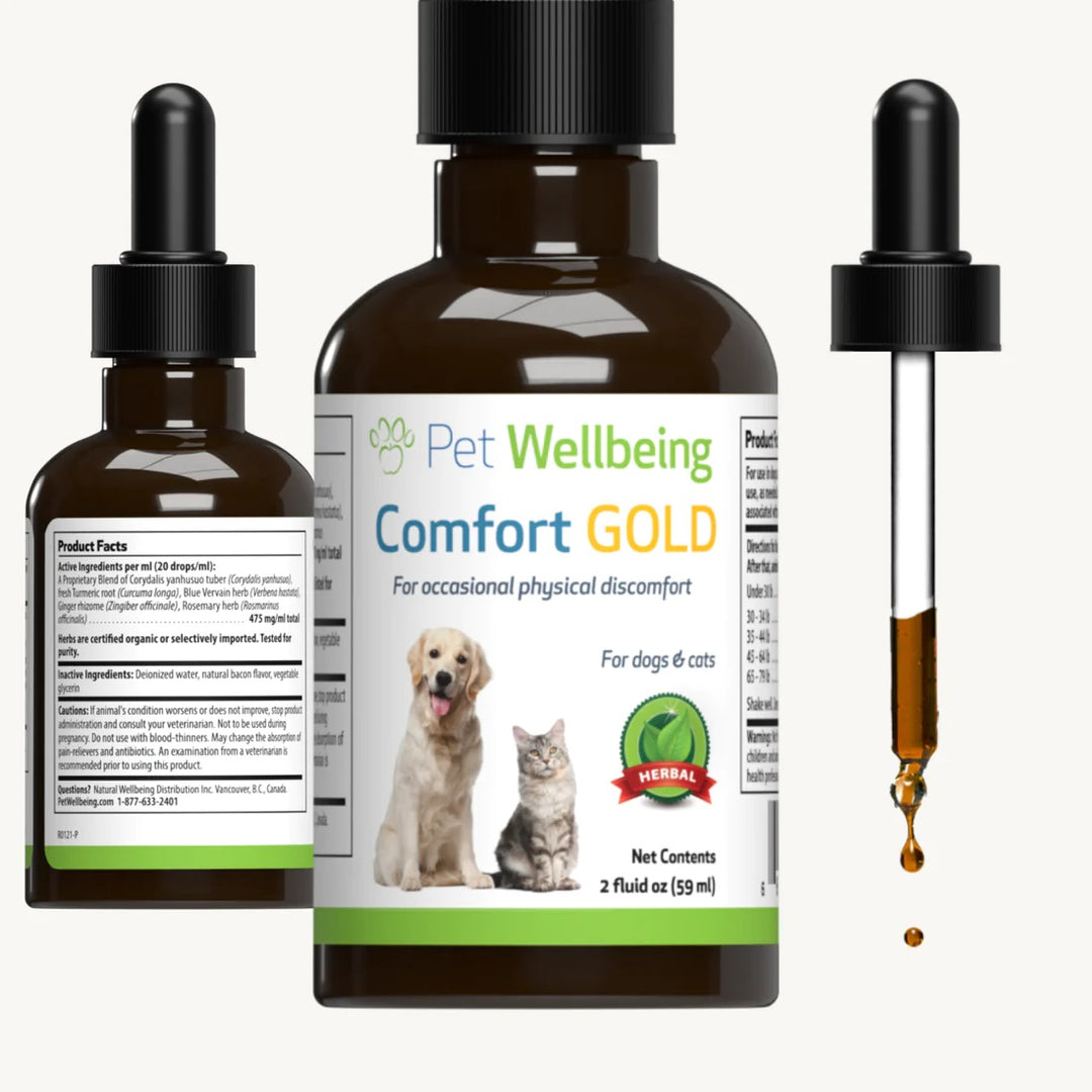 Pet Wellbeing - Comfort Gold - for Occasional Physical Discomfort in Cats & Dogs (2fl oz / 59ml)