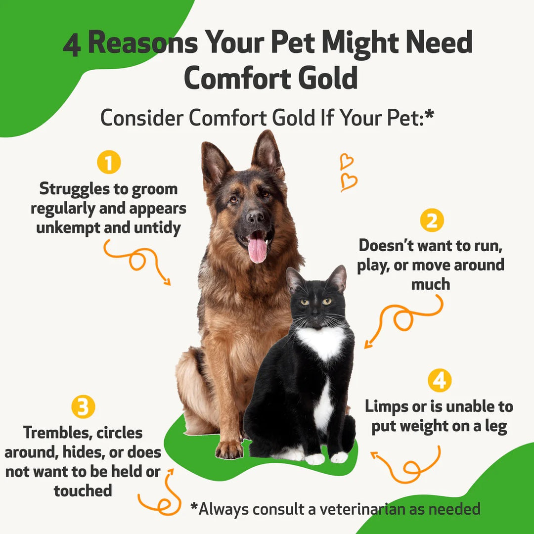 Pet Wellbeing - Comfort Gold - for Occasional Physical Discomfort in Cats & Dogs (2fl oz / 59ml)