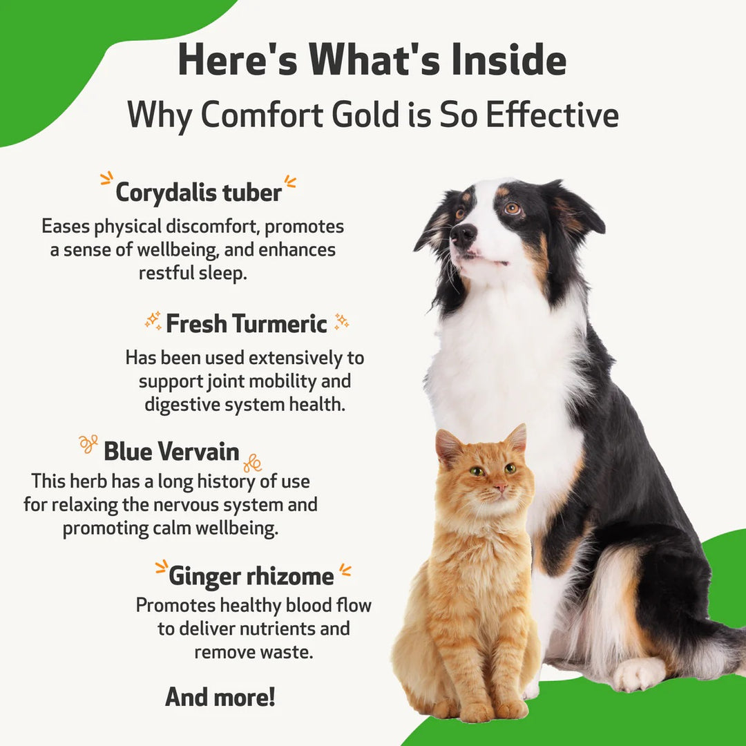 Pet Wellbeing - Comfort Gold - for Occasional Physical Discomfort in Cats & Dogs (2fl oz / 59ml)