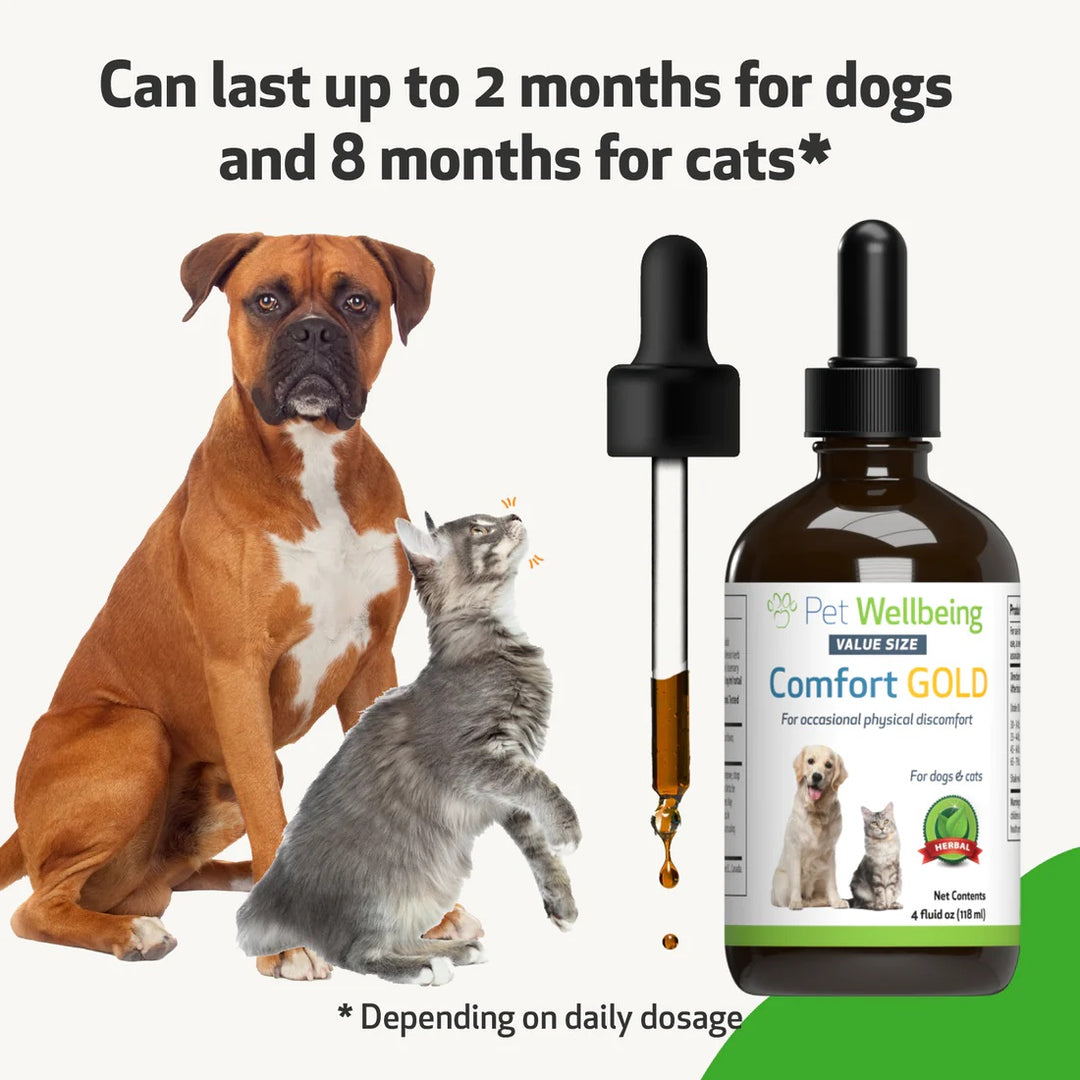 Pet Wellbeing - Comfort Gold - for Occasional Physical Discomfort in Cats & Dogs (2fl oz / 59ml)