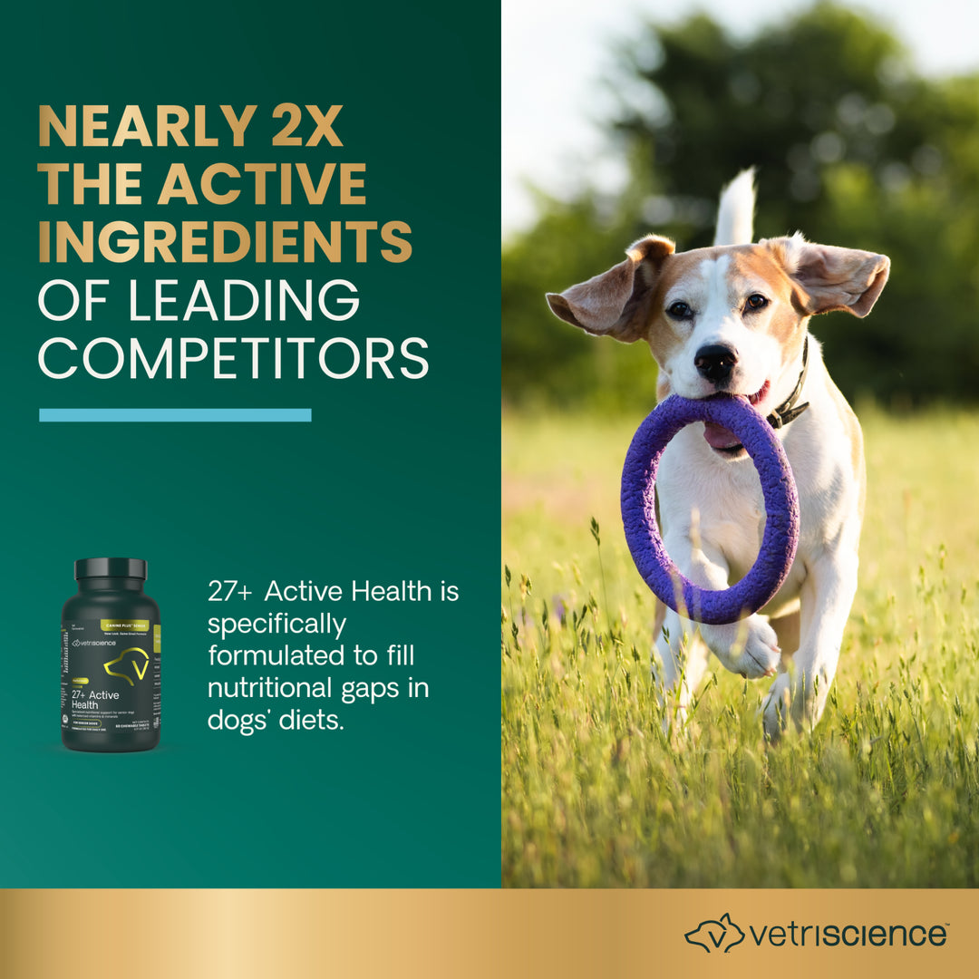VetriScience SENIOR 27+ Active Health Chewable Tablets for Dog (60 tablets), formally Canine Plus Senior Multivitamins