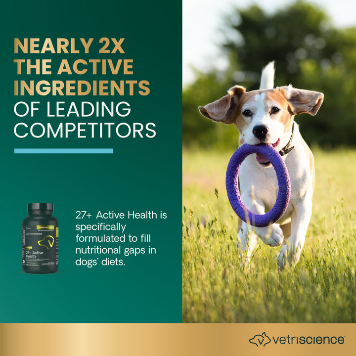 VetriScience SENIOR 27+ Active Health Chewable Tablets for Dog (60 tablets), formally Canine Plus Senior Multivitamins