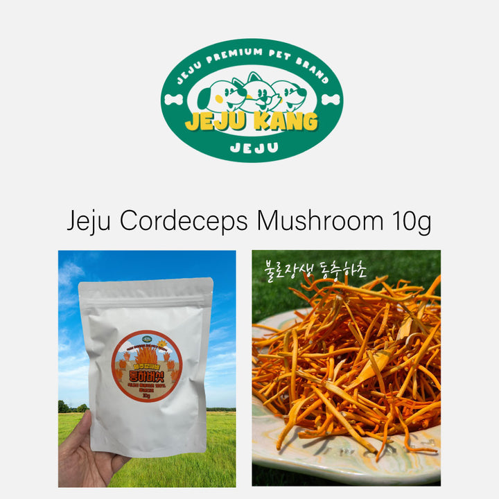 [NEW!] Jejukang - Seasonal Freeze-Dried Vegetable Treats for Dogs From Jeju, South Korea