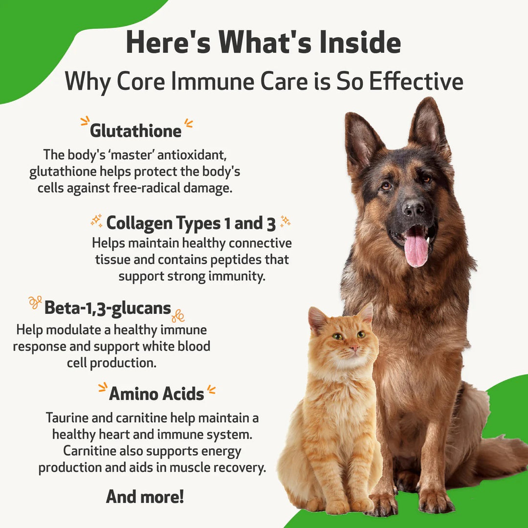 Pet Wellbeing - Core Immune CARE (105g) for Canine & Feline