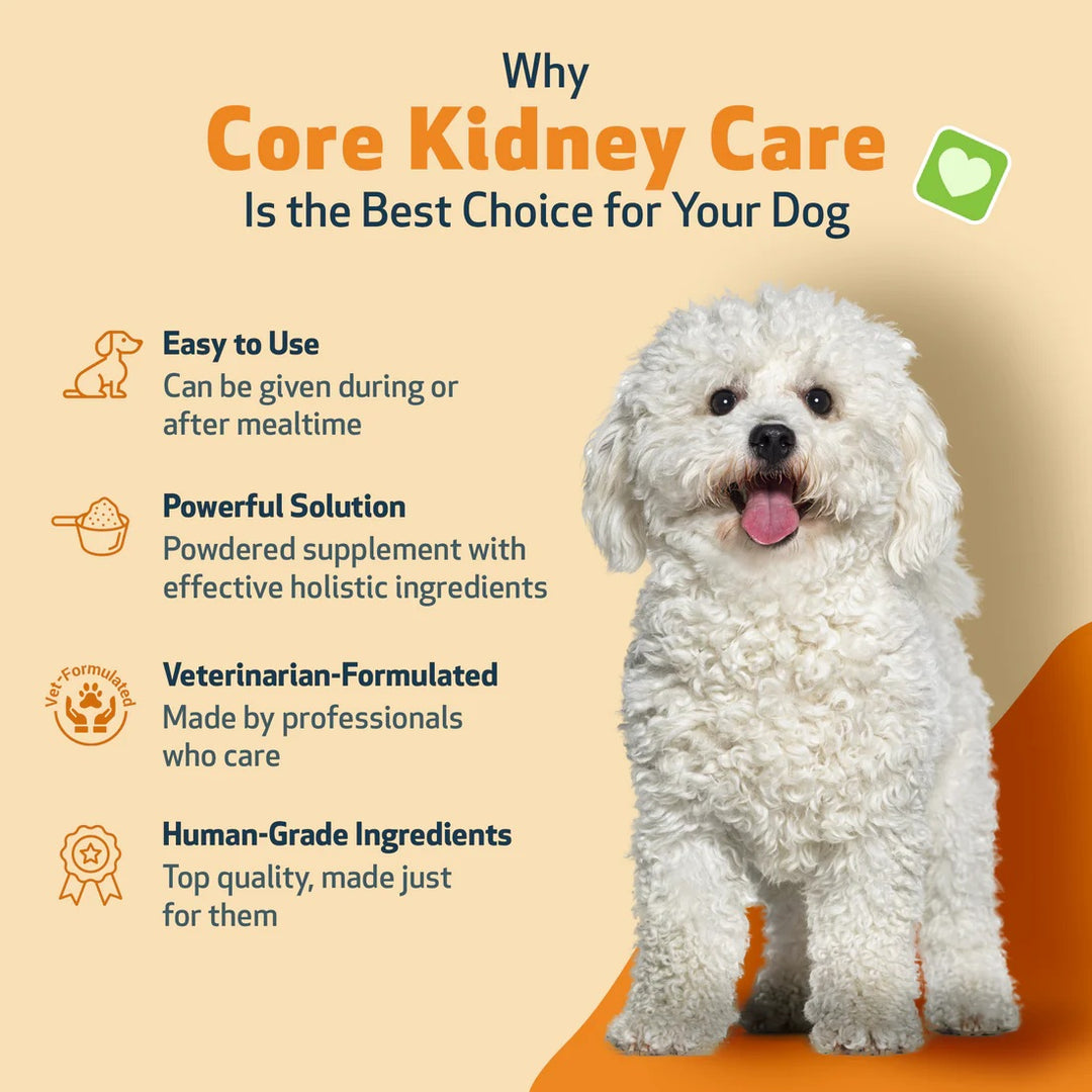 Pet Wellbeing Core Kidney Care (144g) - Daily Phosphate Binder for Cats & Dogs