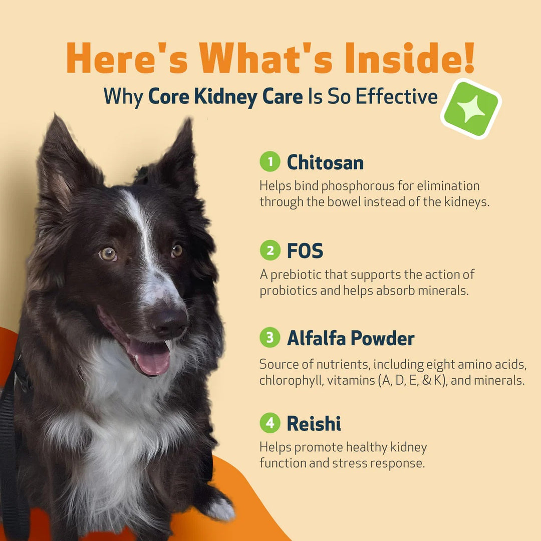 Pet Wellbeing Core Kidney Care (144g) - Daily Phosphate Binder for Cats & Dogs