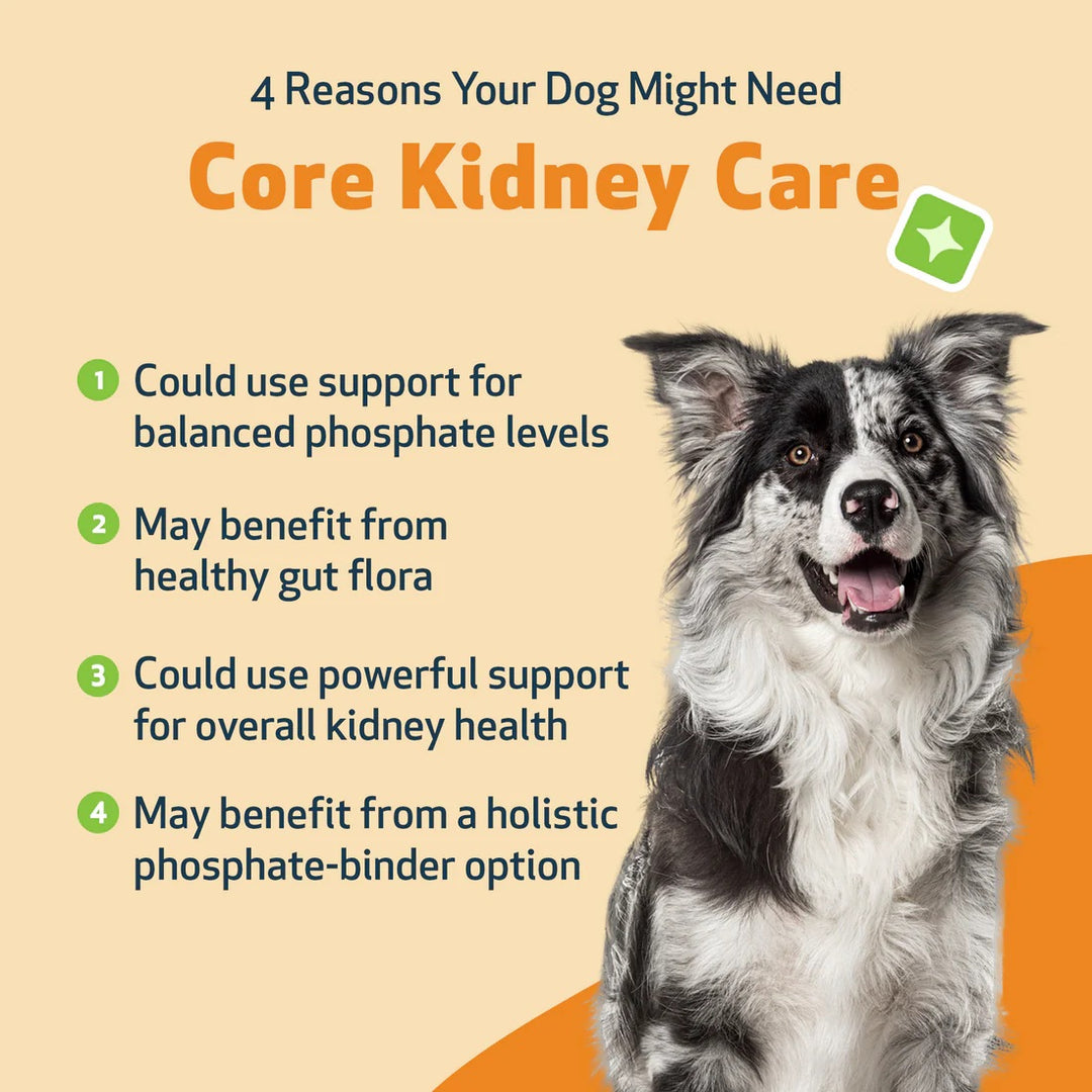 Pet Wellbeing Core Kidney Care (144g) - Daily Phosphate Binder for Cats & Dogs