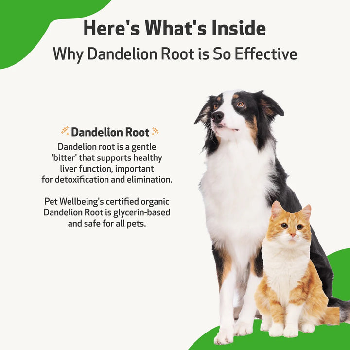 Pet Wellbeing - Dandelion Root - Digestive & Liver Support for Dogs