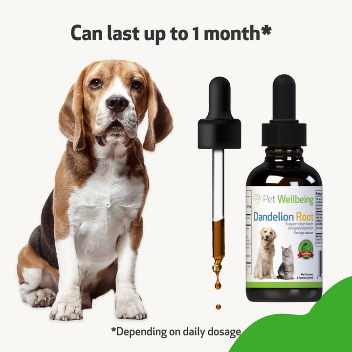 Pet Wellbeing - Dandelion Root - Digestive & Liver Support for Dogs