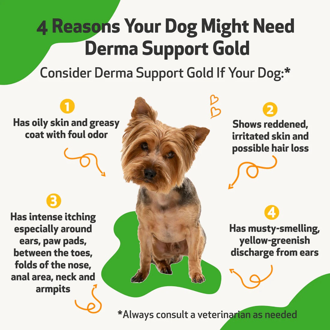 Pet Wellbeing - Derma Support Gold - for Canine Healthy Coat, Odor & Itching (2fl oz / 59ml)