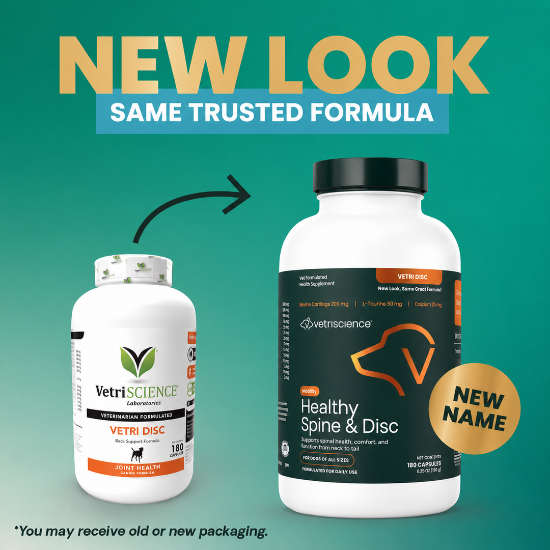 [NEW LOOK!] VetriScience Healthy Spine & Disc, formally known as Vetri Disc Spinal Support Supplement for Dogs (180 capsules)