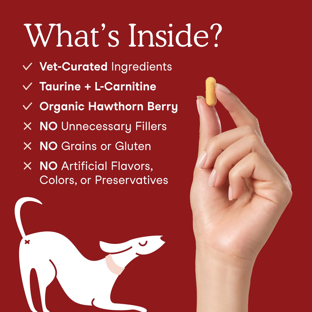 Fera Pets Cardiac Support for Dogs and Cats (52g)