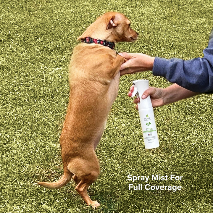 Pure and Natural Pet™ Flea & Tick Canine Spray (16 fl oz - 473ml)