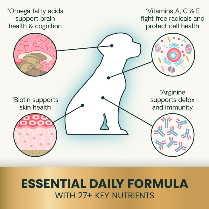 VetriScience SENIOR 27+ Active Health Chewable Tablets for Dog (60 tablets), formally Canine Plus Senior Multivitamins