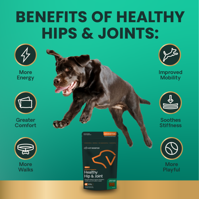 VetriScience Ultimate Strength Healthy Hip & Joint for Dogs - formerly GlycoFlex Plus Hip & Joint Supplement for Dogs