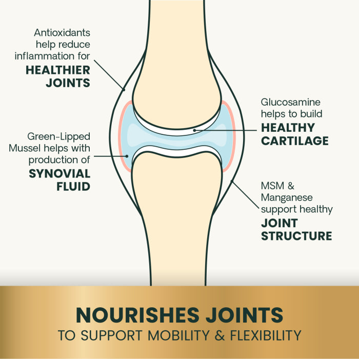 VetriScience Ultimate Strength Healthy Hip & Joint for Dogs - formerly GlycoFlex Plus Hip & Joint Supplement for Dogs