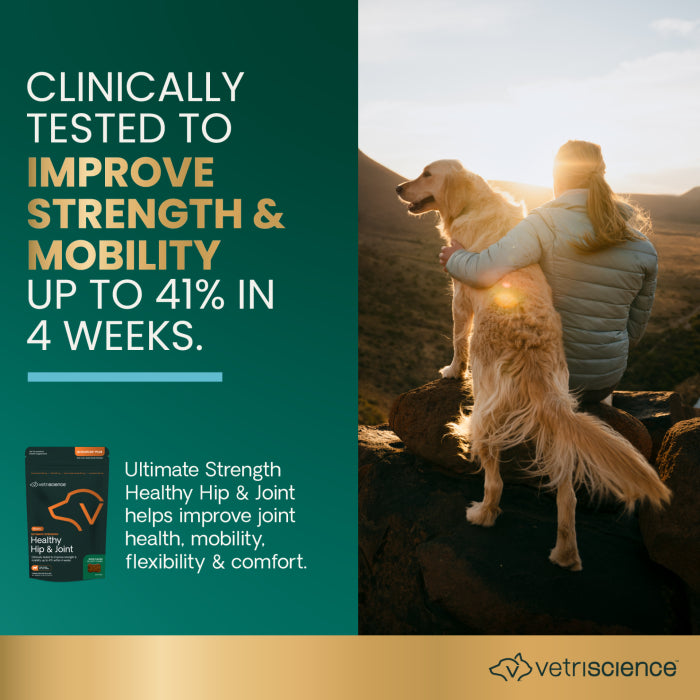 VetriScience Ultimate Strength Healthy Hip & Joint for Dogs - formerly GlycoFlex Plus Hip & Joint Supplement for Dogs