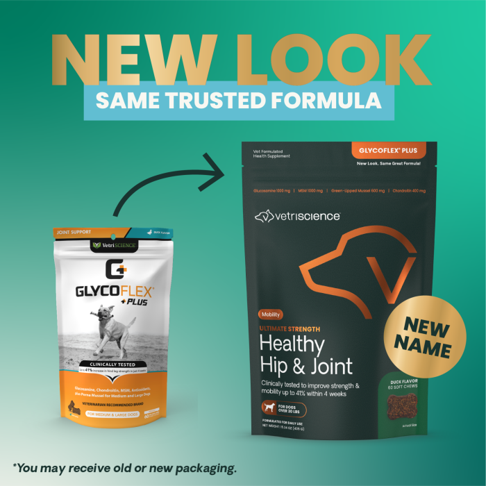 VetriScience Ultimate Strength Healthy Hip & Joint for Dogs - formerly GlycoFlex Plus Hip & Joint Supplement for Dogs