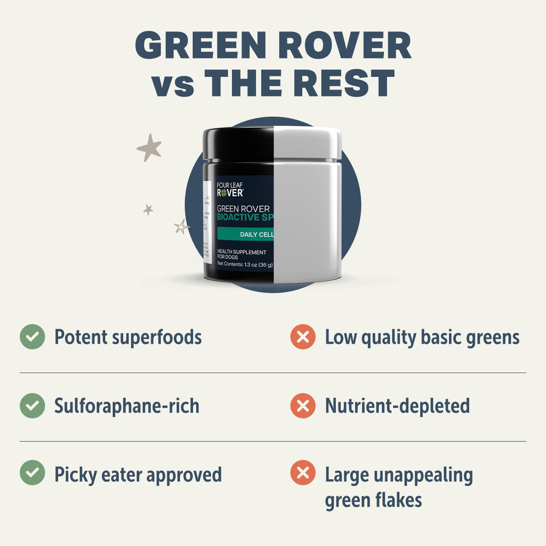 Four Leaf Rover GREEN ROVER - Bioactive Sprout Blend (36g)