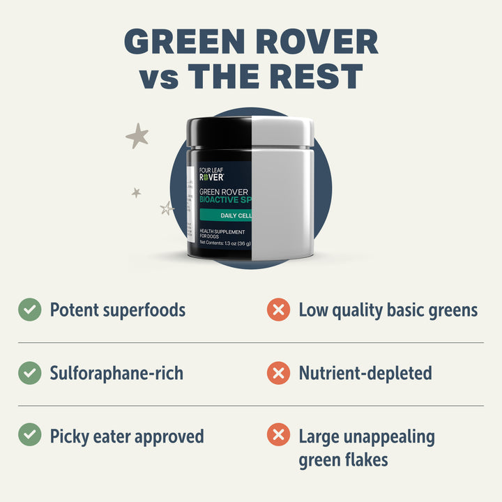Four Leaf Rover GREEN ROVER - Bioactive Sprout Blend (36g)