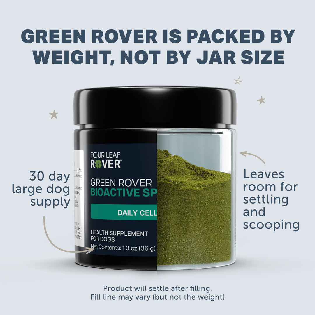 Four Leaf Rover GREEN ROVER - Bioactive Sprout Blend (36g)