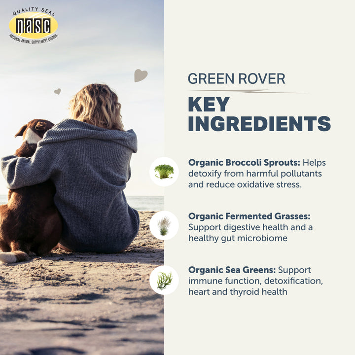 Four Leaf Rover GREEN ROVER - Bioactive Sprout Blend (36g)