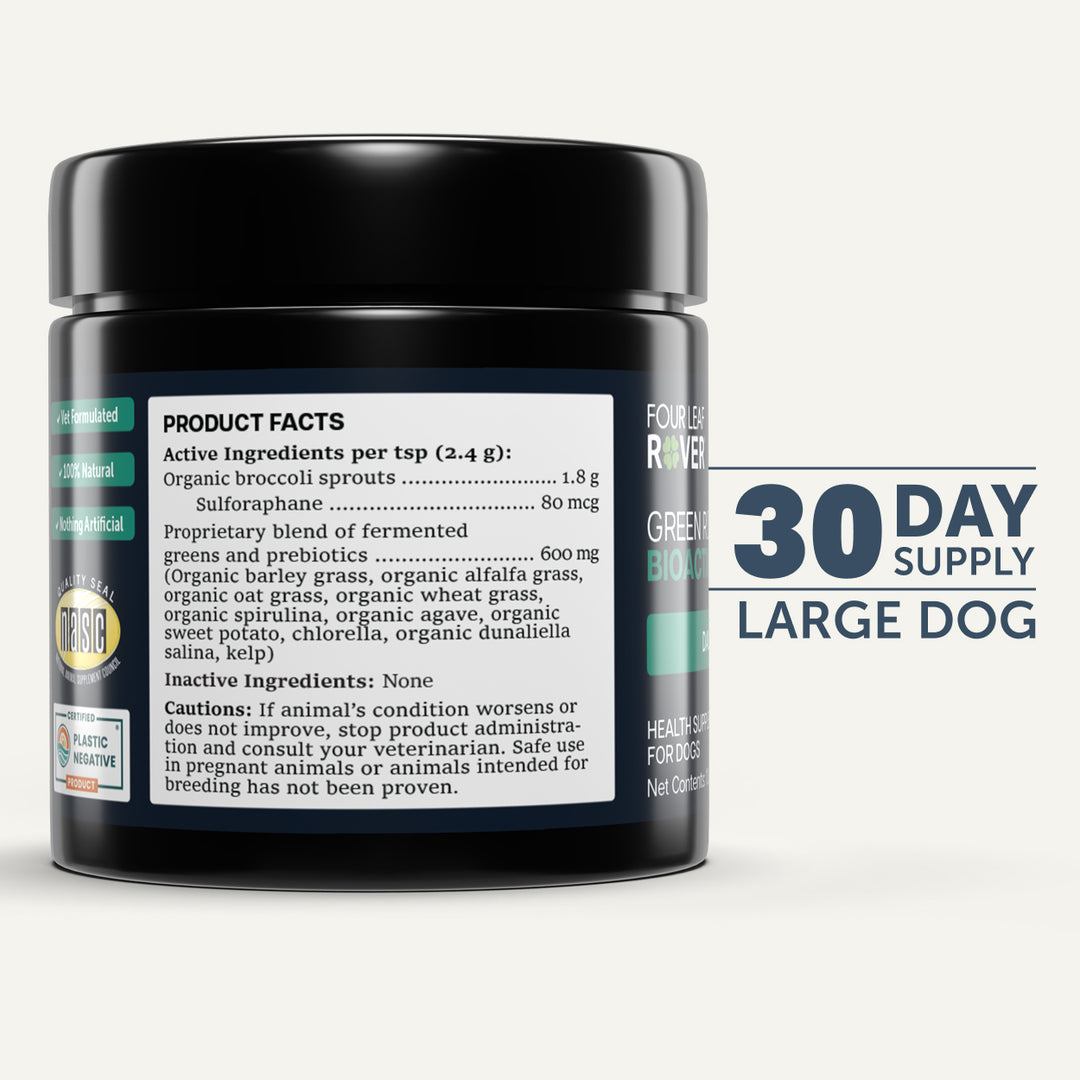 Four Leaf Rover GREEN ROVER - Bioactive Sprout Blend (36g)