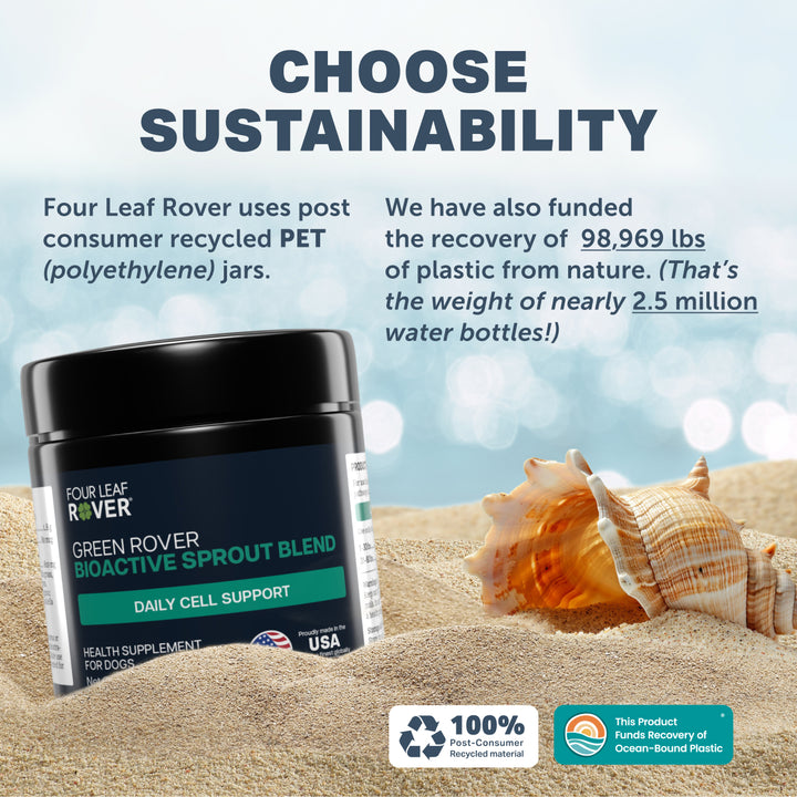 Four Leaf Rover GREEN ROVER - Bioactive Sprout Blend (36g)