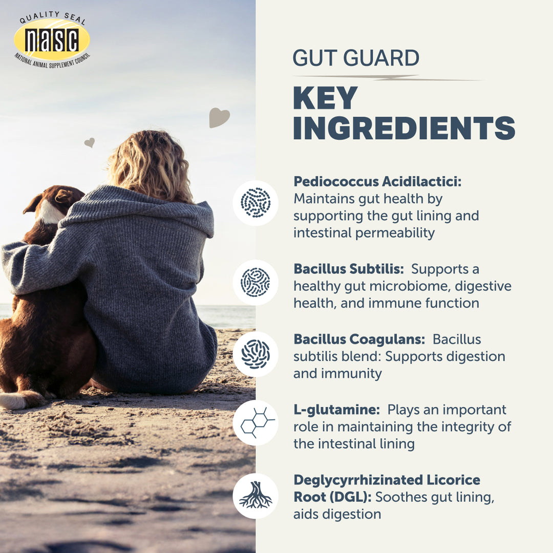Four Leaf Rover GUT GUARD for Dogs (106g) . Soothing Gut Support for a Healthy Gut Lining