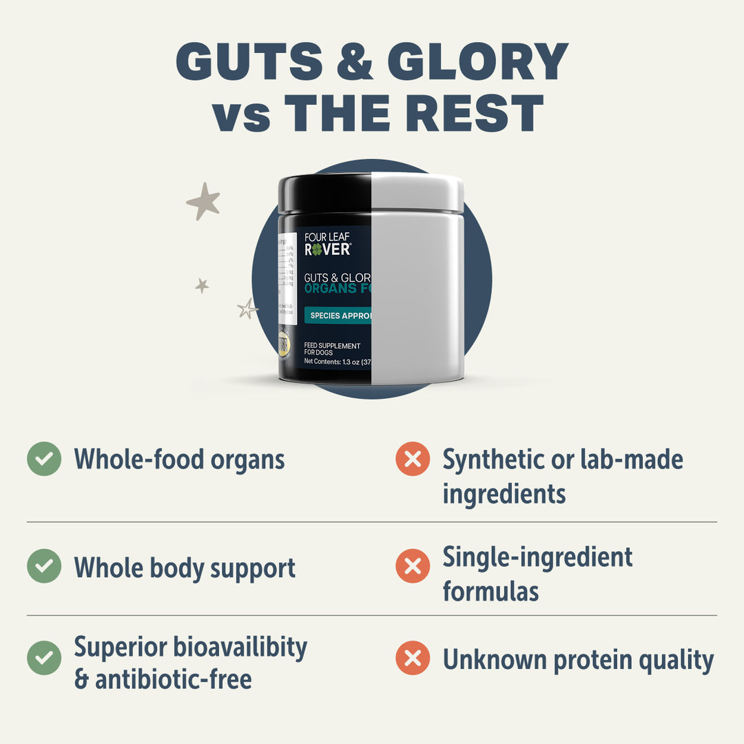Four Leaf Rover GUTS & GLORY Organs for Dogs (37.4g). Species Appropriate Nutrition