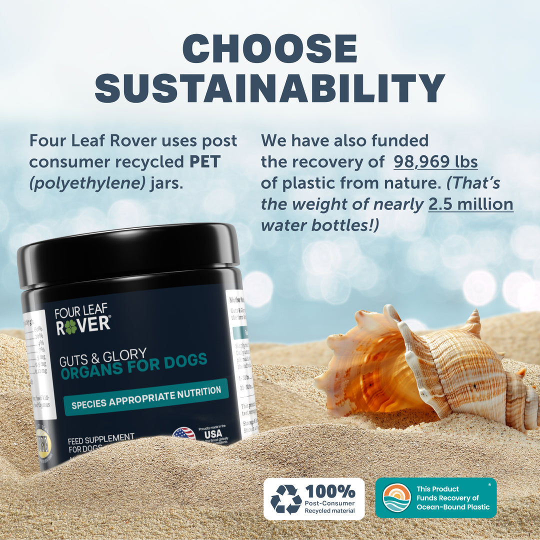 Four Leaf Rover GUTS & GLORY Organs for Dogs (37.4g). Species Appropriate Nutrition