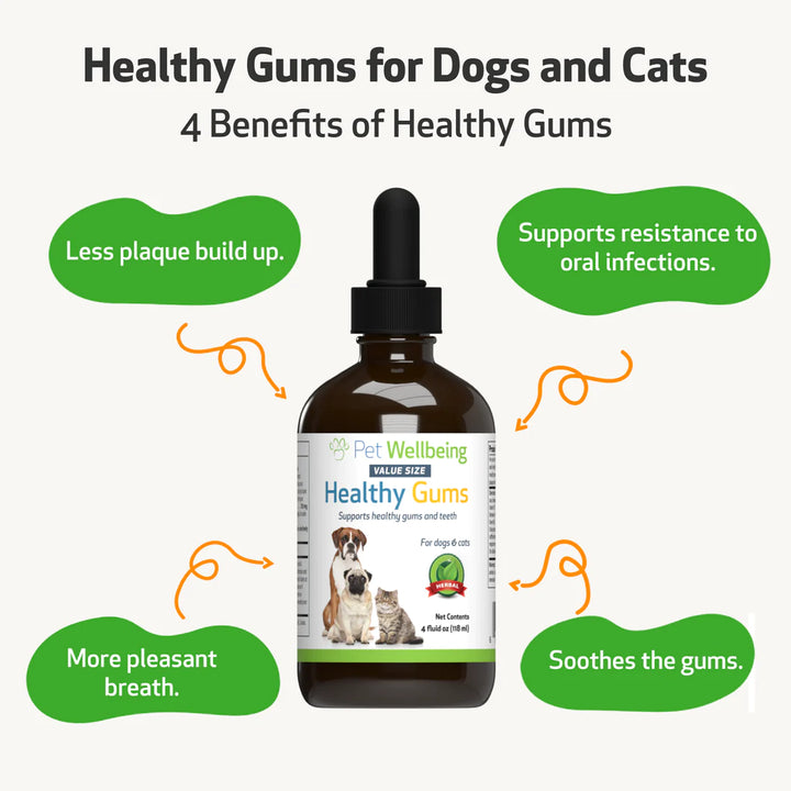 Pet Wellbeing - Healthy Gums - for Feline and Canine Periodontal Health