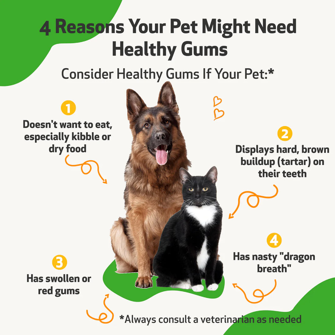 Pet Wellbeing - Healthy Gums - for Feline and Canine Periodontal Health